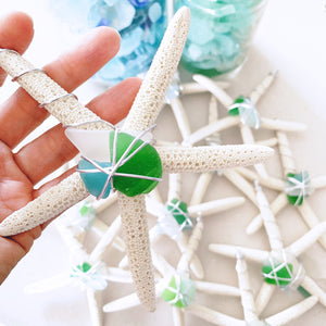 Starfish & Sea Glass Wall Decor Ornament